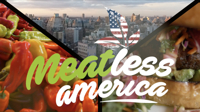 Meatless America- TV Series-DOP